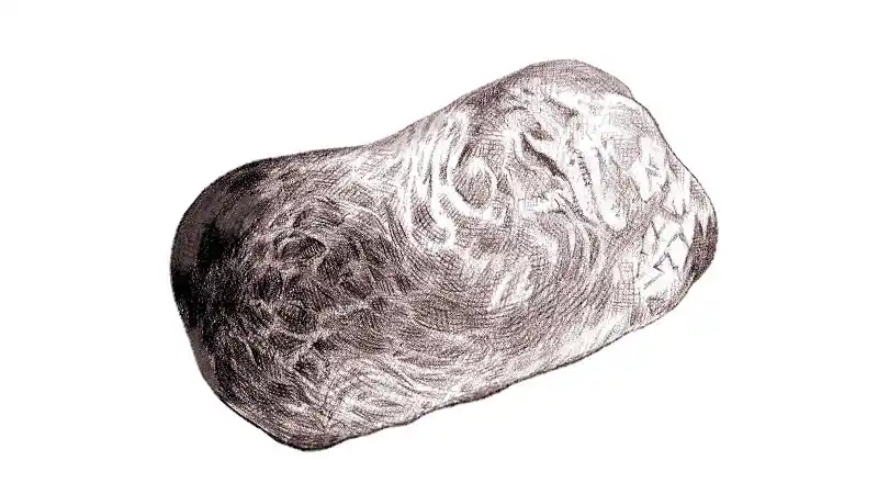 Pan de Aceite de Oliva y Centeno